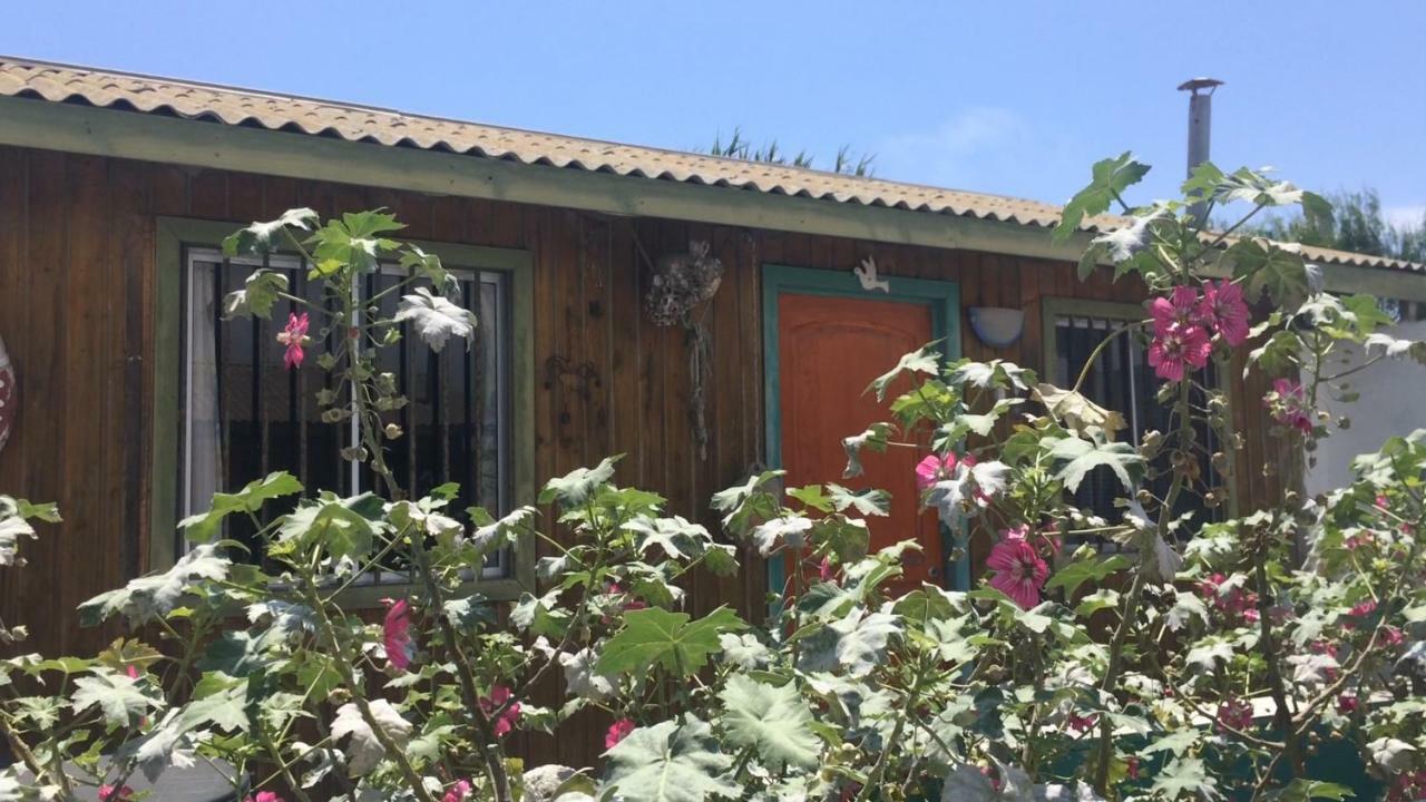Cabañas Juan Gaviota Punta de Choros Bagian luar foto