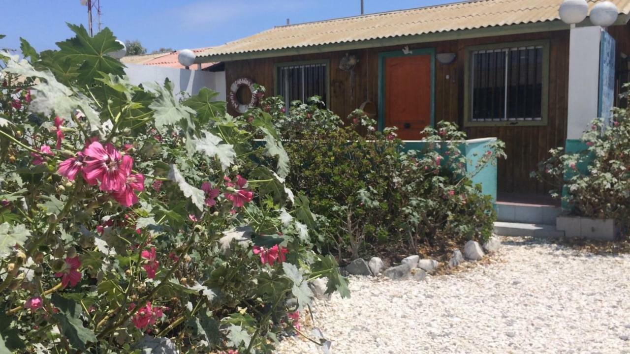 Cabañas Juan Gaviota Punta de Choros Bagian luar foto