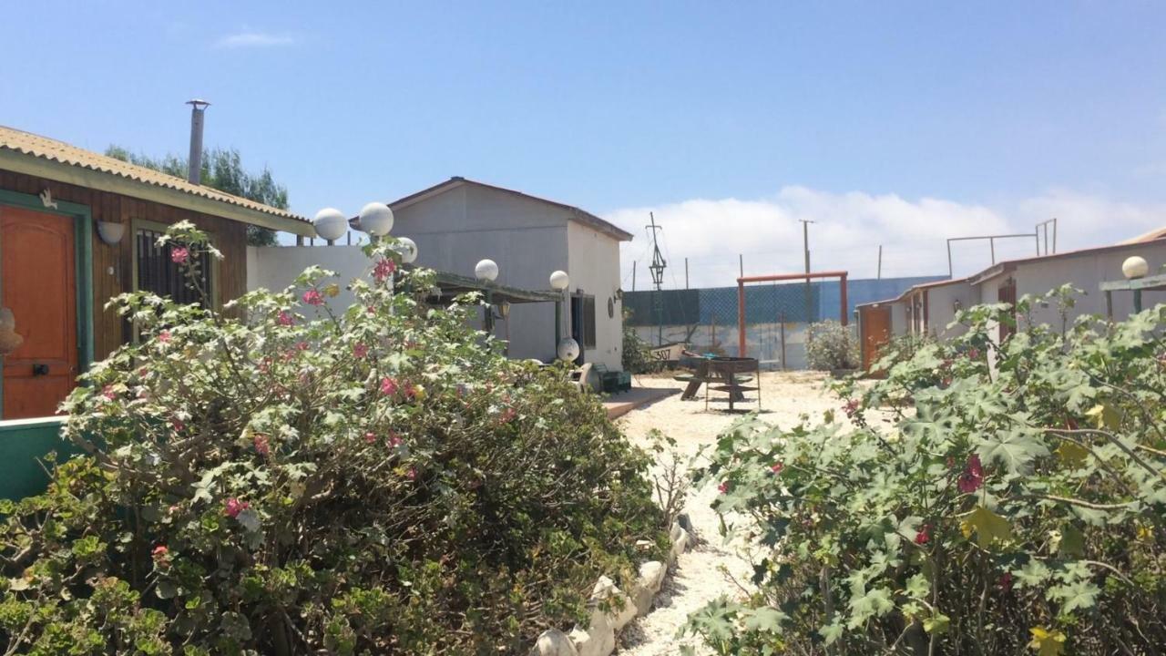 Cabañas Juan Gaviota Punta de Choros Bagian luar foto