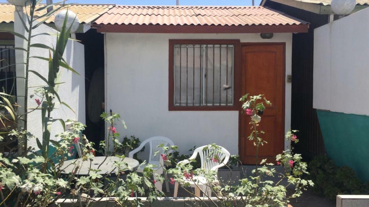 Cabañas Juan Gaviota Punta de Choros Bagian luar foto