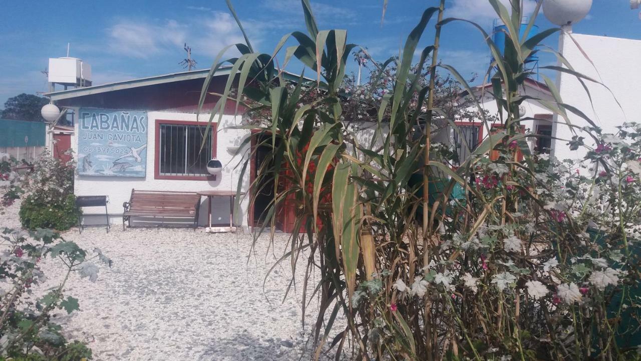 Cabañas Juan Gaviota Punta de Choros Bagian luar foto