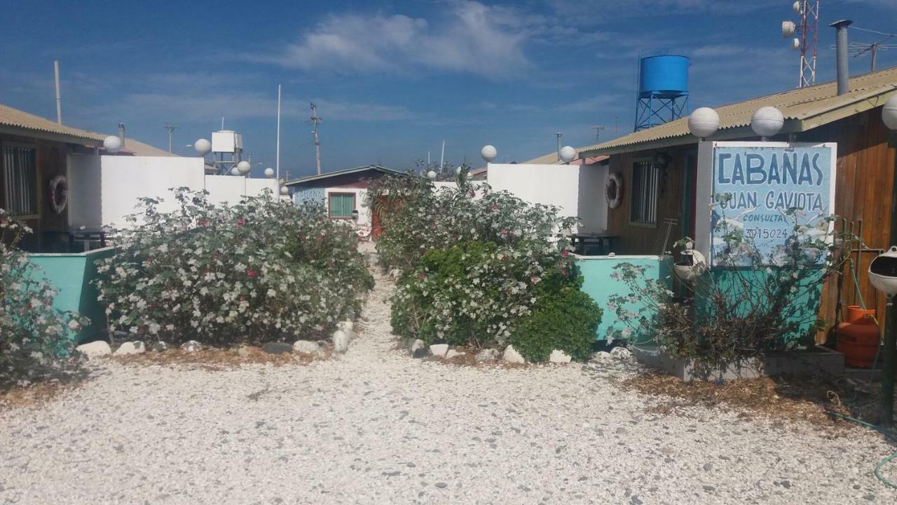 Cabañas Juan Gaviota Punta de Choros Bagian luar foto