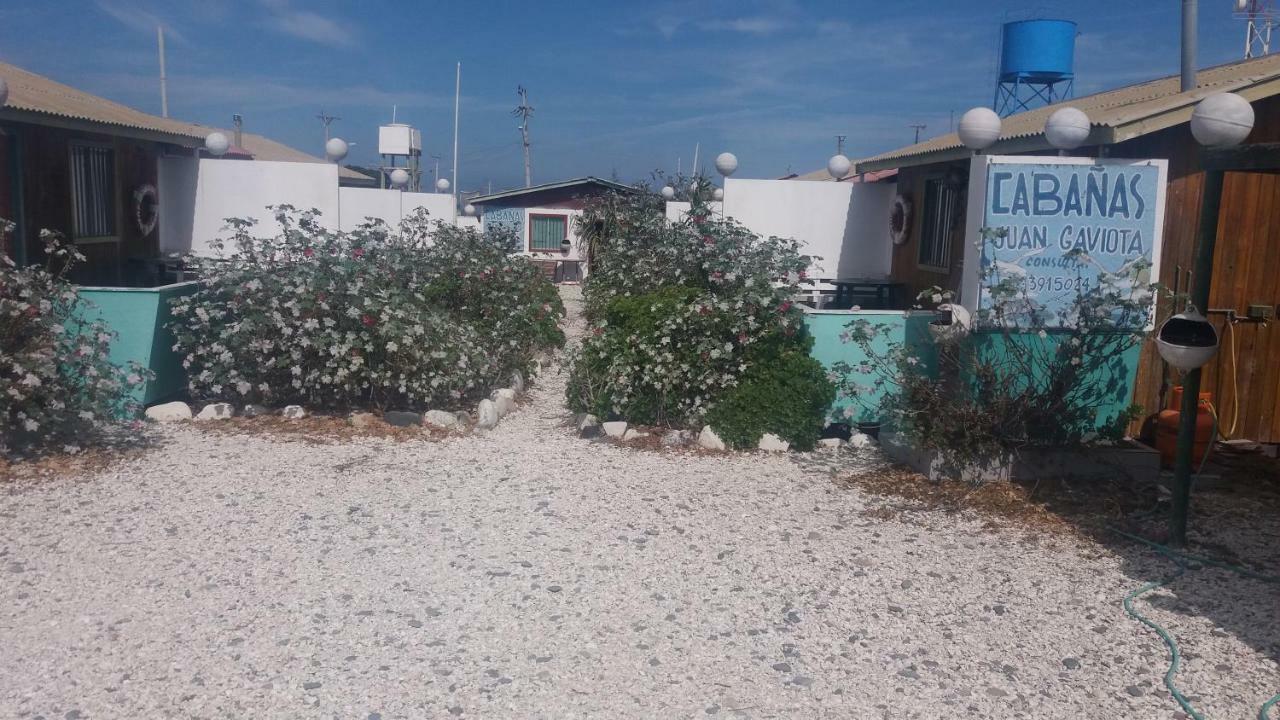 Cabañas Juan Gaviota Punta de Choros Bagian luar foto