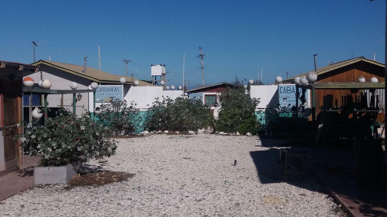 Cabañas Juan Gaviota Punta de Choros Bagian luar foto